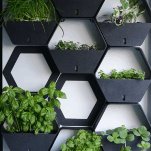 Feliz dia da mulher - Instagram Post (11)